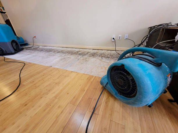 Reliable Basement Flood Cleanup contractor in Fulton, MD by Hirex Water Damage