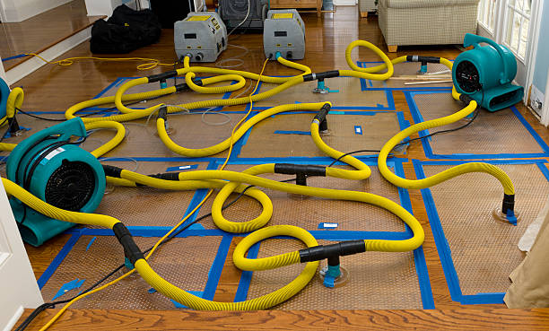 Professional Basement Flood Cleanup technician working in Fulton, MD